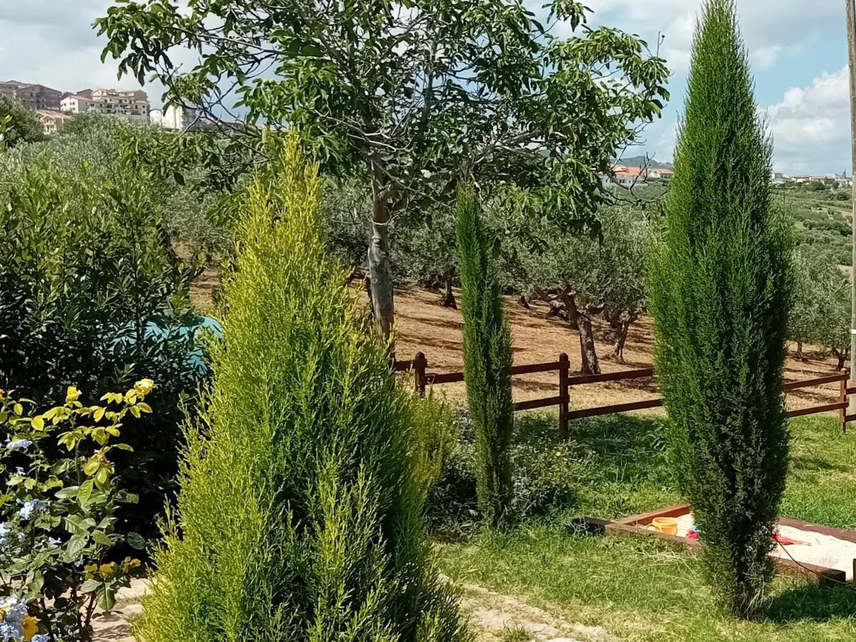 Villa Nonno Nicola 몬테네로 디 비사치아 외부 사진